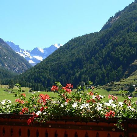 Albergo Du Soleil Cogne Bagian luar foto